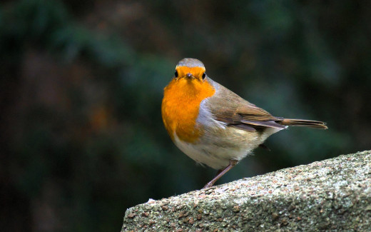 1753916 (a): :1920x1200